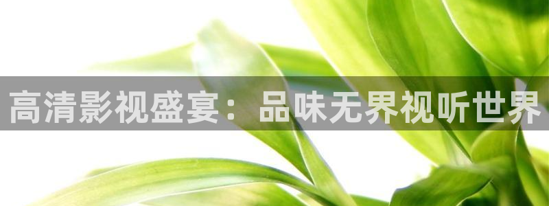 人人看极速影视：高清影视盛宴：品味无界视听世界