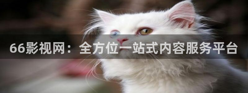 极速营救电影：66影视网：全方位一站式内容服务平台