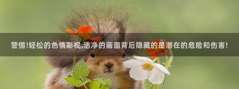 极速影院电脑在线观看：警惕!轻松的色情影视,洁净的画面背后隐藏的是潜在的危险和伤害!