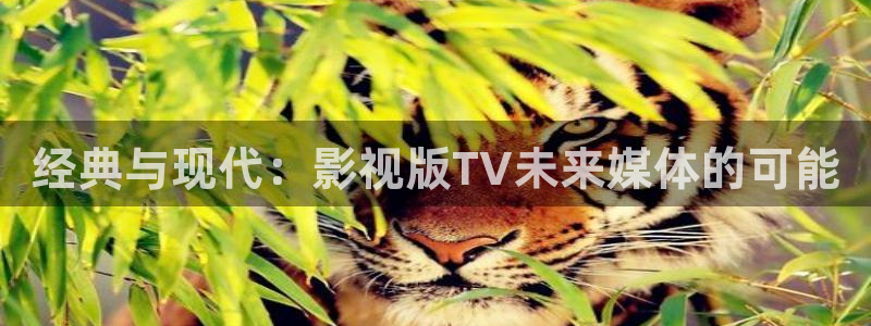 极速影院黄片：经典与现代：影视版TV未来媒体的可能