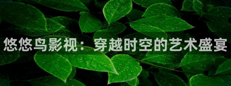 极速影院在线观看.：悠悠鸟影视：穿越时空的艺术盛宴