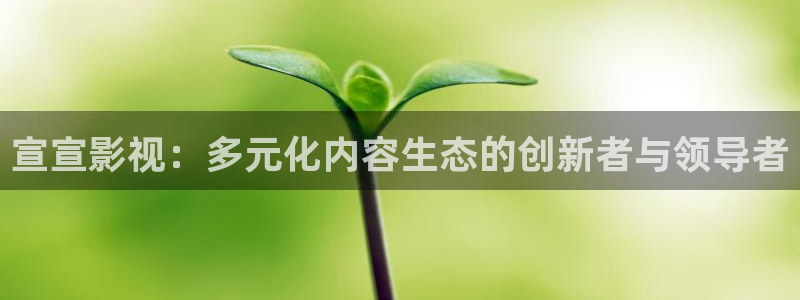 极速影院在线观看免费高清电视剧：宣宣影视：多元化内容生态的创新者与领导者