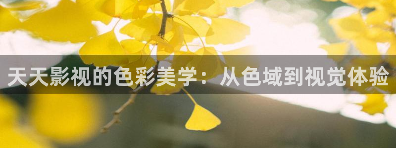 飞极速快线电影：天天影视的色彩美学：从色域到视觉体验