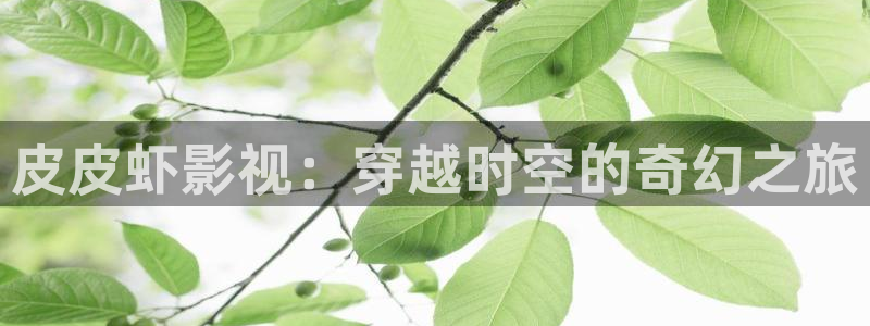 赛尔号之圣者无敌极速影院：皮皮虾影视：穿越时空的奇幻之旅